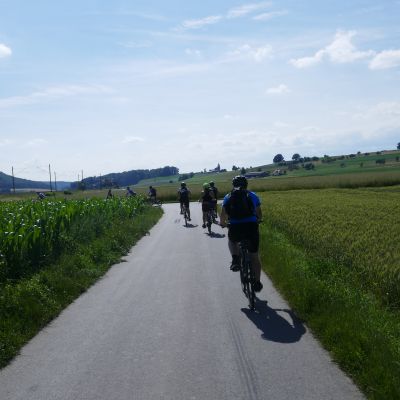 013 Am Beringer-Radweg